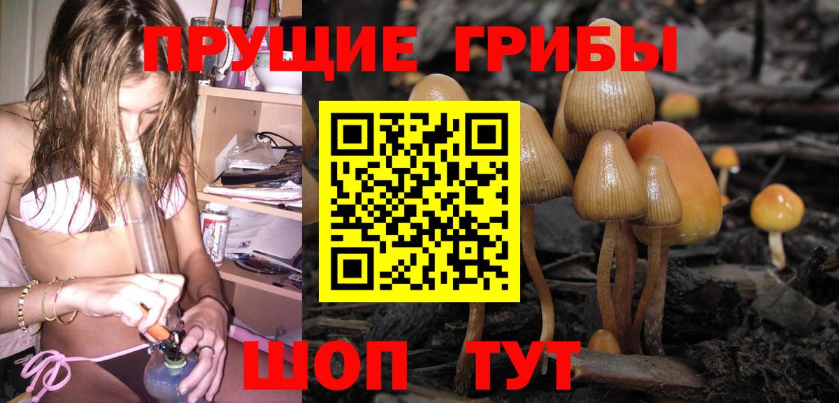 Гашиш Рубцовск
